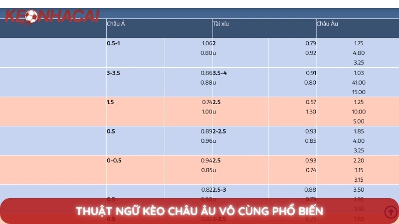Giải mã 20+ thuật ngữ kèo nhà cái mà tân binh phải biết 3 Thuật ngữ kèo Châu Âu vô cùng phổ biến
