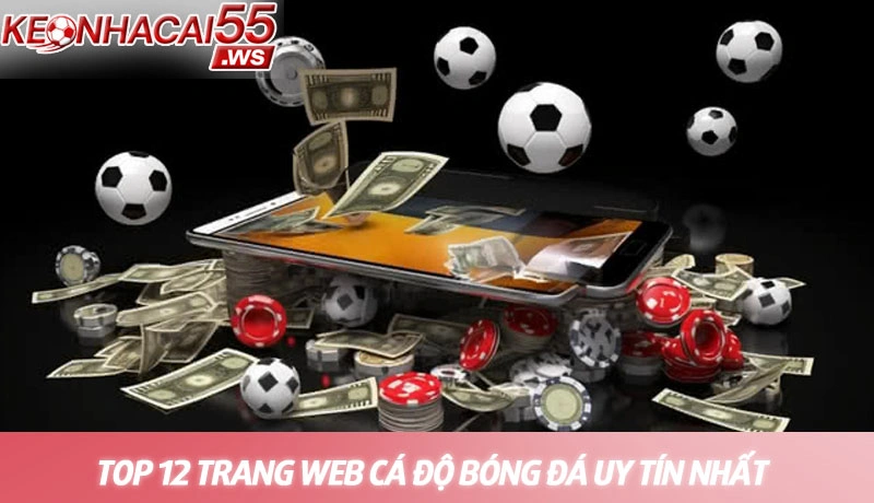 Top 12 trang web cá độ bóng đá uy tín nhất 2025 dành cho bạn 2 Top 12 trang web cá độ bóng đá uy tín nhất dành cho bạn