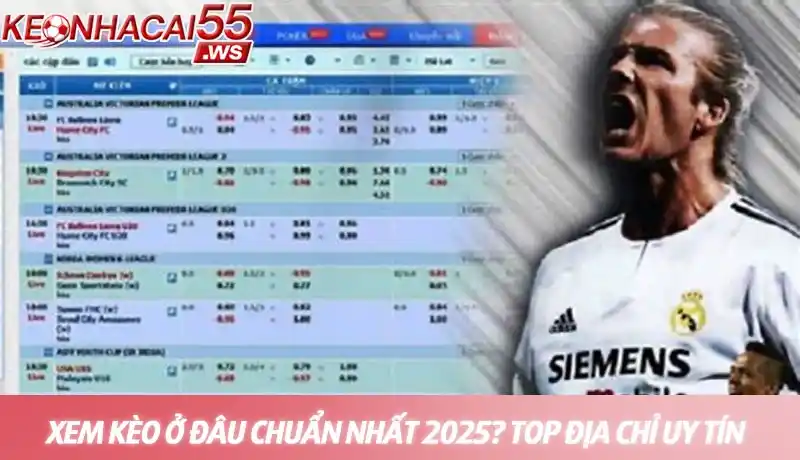 Xem kèo ở đâu chuẩn nhất 2025? Top địa chỉ uy tín được hé lộ 9 Xem kèo ở đâu chuẩn nhất - Top địa chỉ uy tín được hé lộ